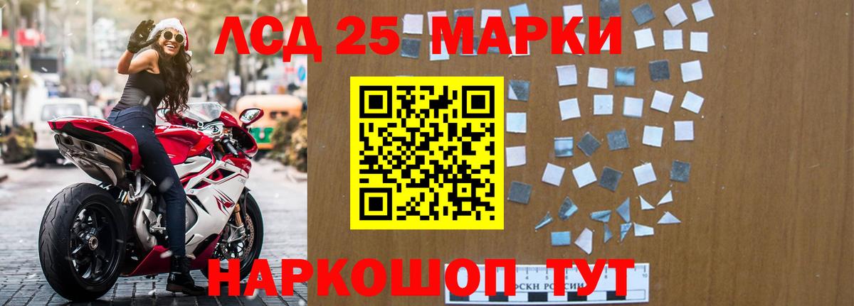 A-PVP Камышлов