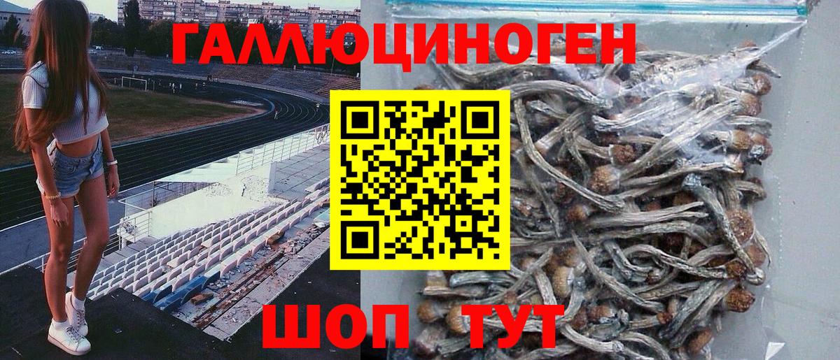 Камышлов  наркошоп  Вход с VPN  Галлюциногенные грибы Magic Shrooms 